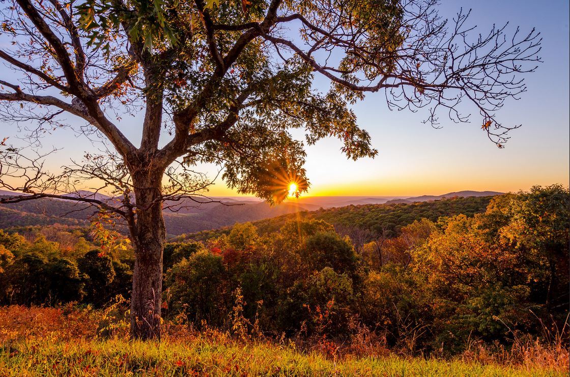 Lorem ipsum dolor sit ame